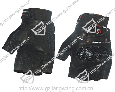 Motorcycle Glove